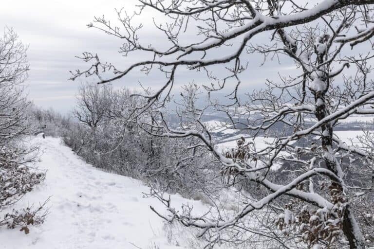 Van, ahol már 35 centis a hótakaró – Itt a térkép arról, hol, mennyi hó esett eddig, és hol jöhet még utánpótlás