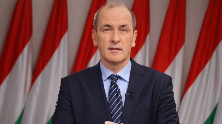 Hegedűs Zsolt tárcákon átívelő vizsgálatot ígér a lélegeztetőgép-beszerzésekről