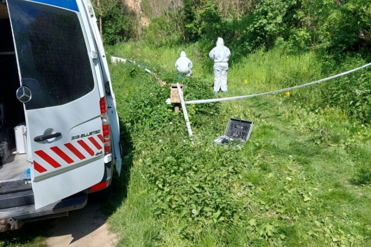 Meggyilkolták az eltűntként keresett döbröközi nőt, egy kútban találták meg a holttestét