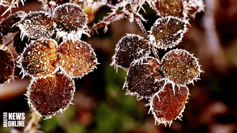 Mínusz 7,4 fok! – megdőlt a hajnali hidegrekord